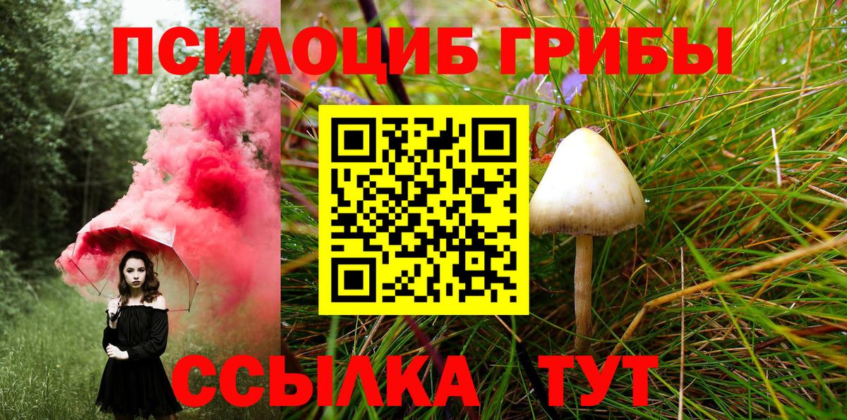 Алапаевск  Псилоцибиновые грибы GOLDEN TEACHER  Вход с VPN 